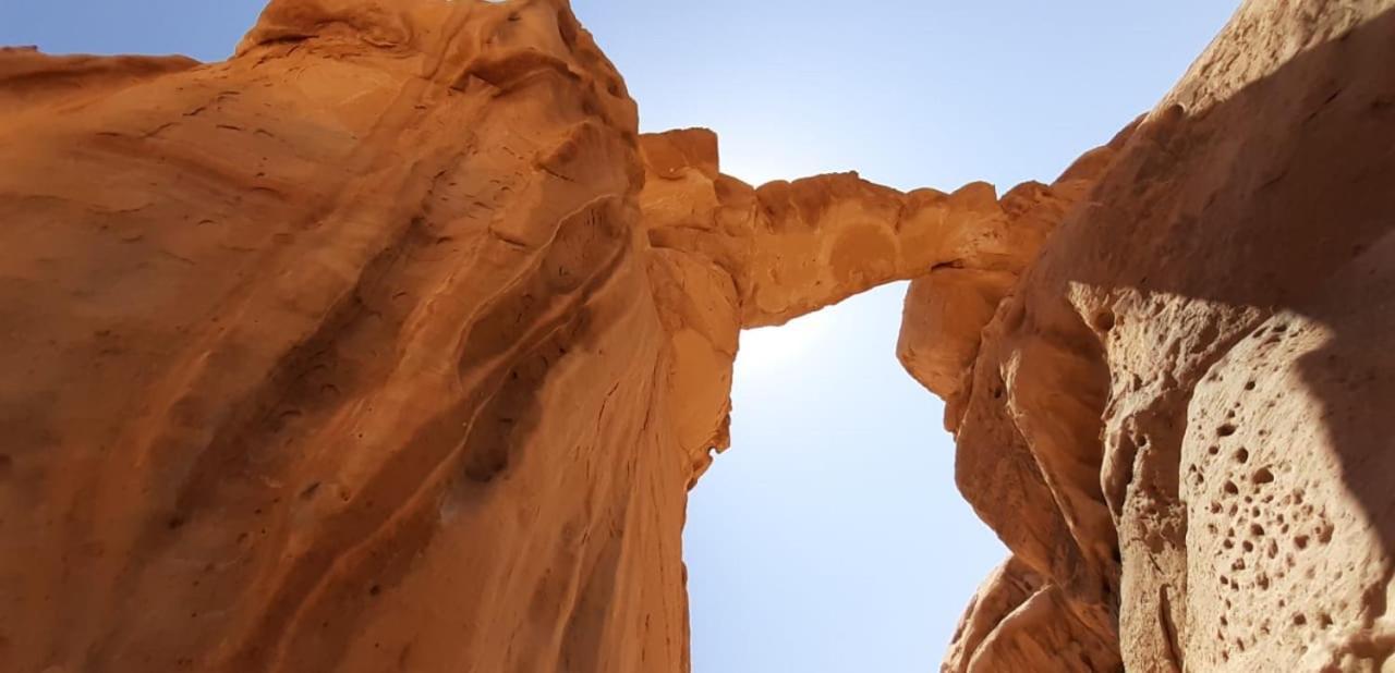 Bedouin Holidays Camp And Jeep Tours ワディ ・ラム エクステリア 写真
