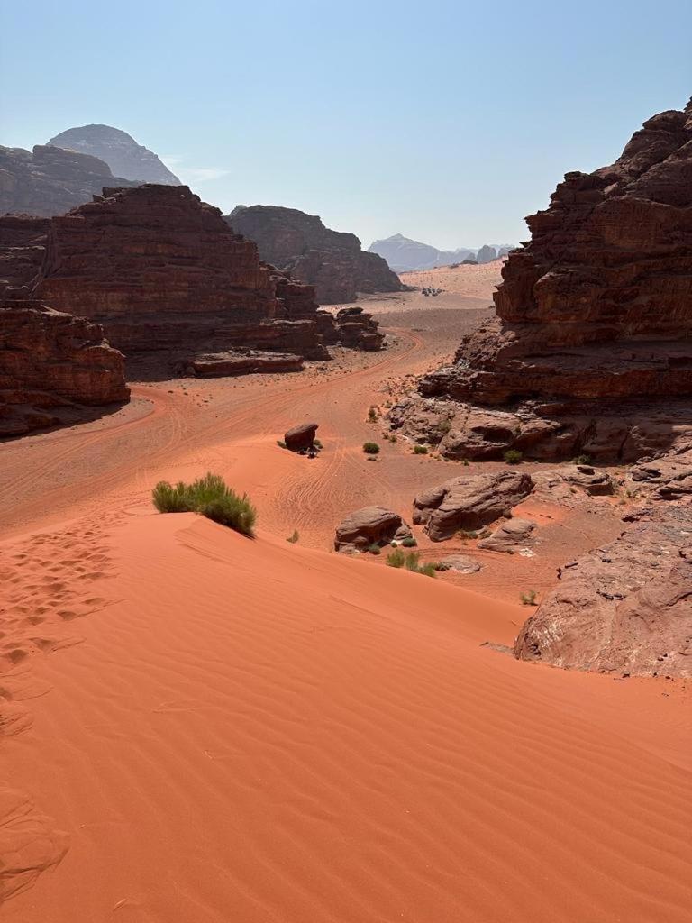 Bedouin Holidays Camp And Jeep Tours ワディ ・ラム エクステリア 写真