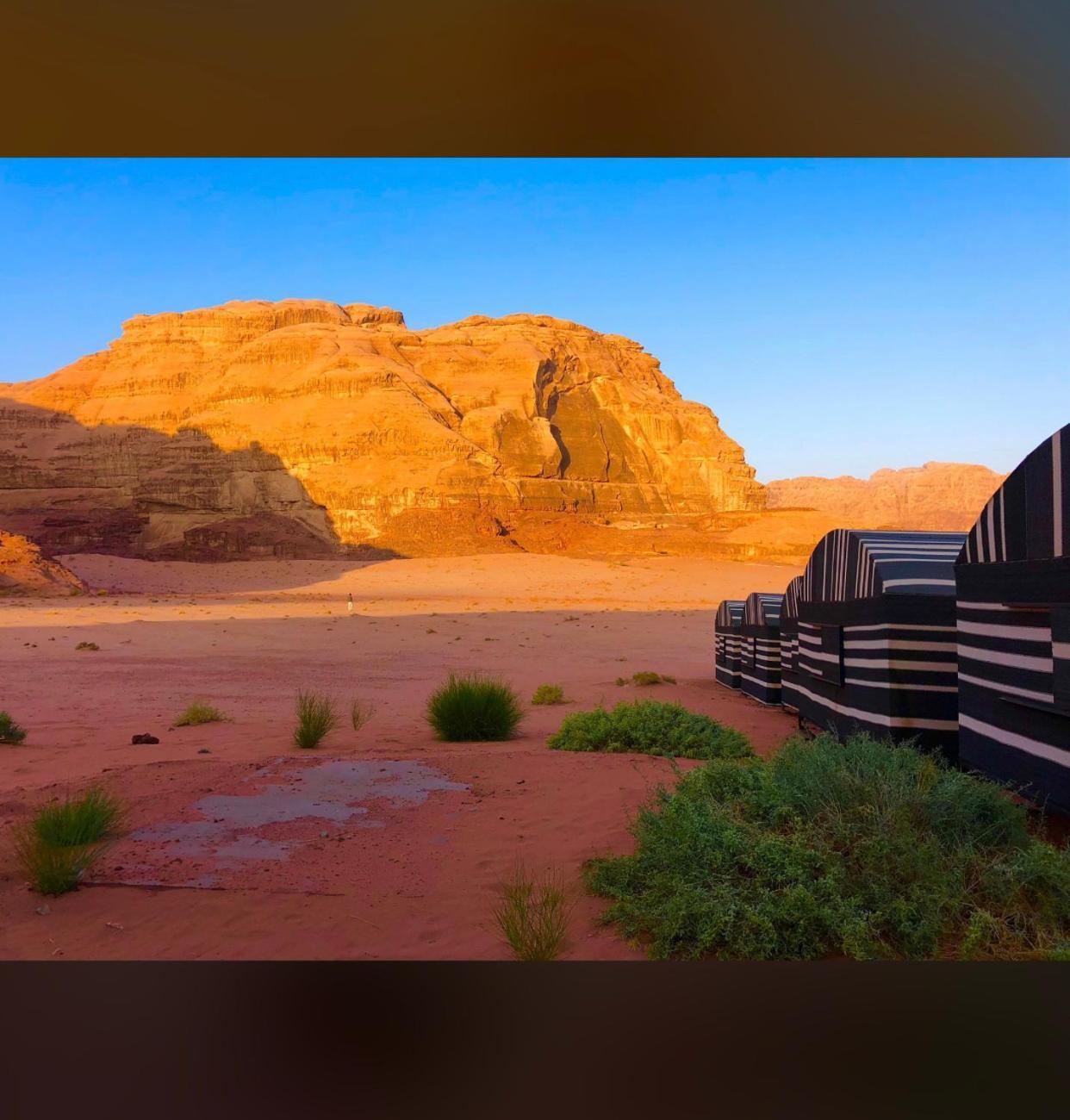 Bedouin Holidays Camp And Jeep Tours ワディ ・ラム エクステリア 写真