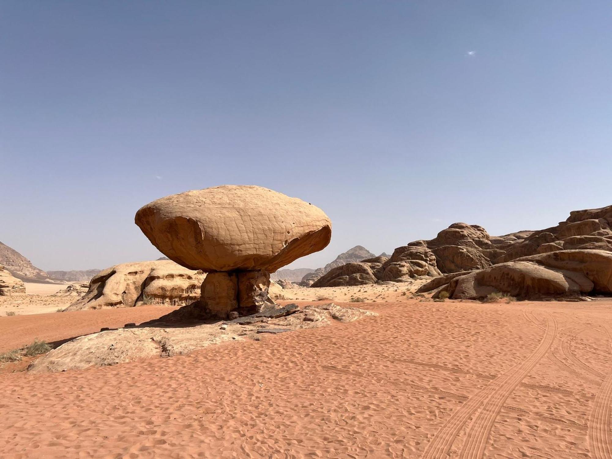 Bedouin Holidays Camp And Jeep Tours ワディ ・ラム エクステリア 写真
