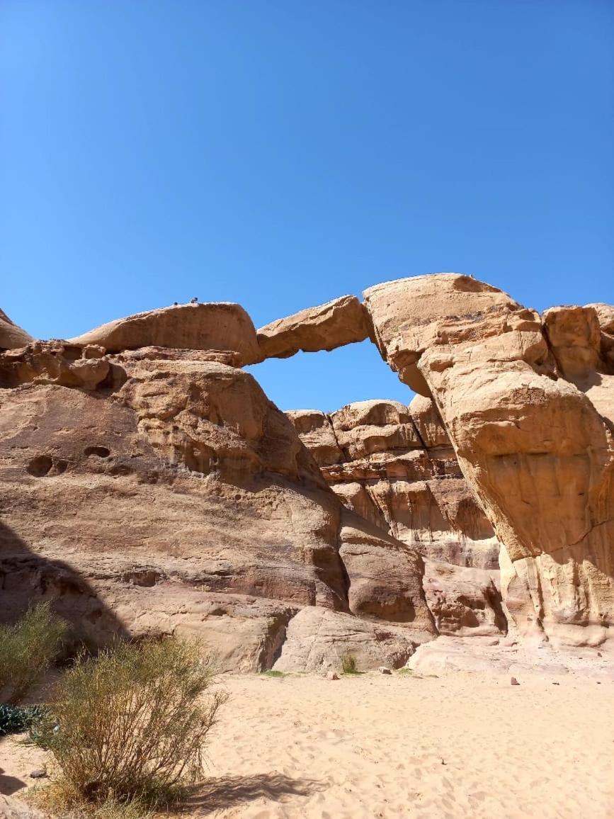 Bedouin Holidays Camp And Jeep Tours ワディ ・ラム エクステリア 写真